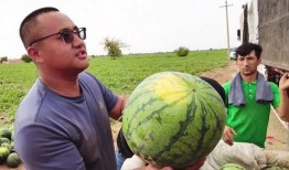 每日精选吃瓜,盘点娱乐圈最新热点事件