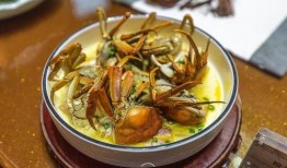 嘉善客串吃瓜,揭秘娱乐圈幕后风云