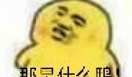 吃瓜表情猥琐表情包,揭秘网络社交中的趣味与幽默