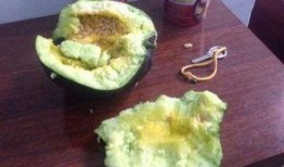 以前吃瓜和最近吃瓜一样吗,从古至今，吃瓜热情依旧