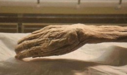 辛追夫人吃瓜视频,揭秘古墓奇闻背后的真实故事