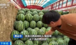 摩登吃瓜,吃瓜群众的时尚盛宴