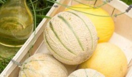 二月吃瓜,盘点娱乐圈的甜蜜与苦涩