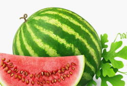 吃瓜开头,吃瓜群众视角下的娱乐圈风云录