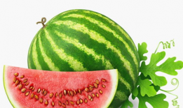 吃瓜开头,吃瓜群众视角下的娱乐圈风云录