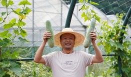 林呱呱吃瓜,揭秘娱乐圈背后的秘密与八卦