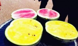 最新吃瓜料,揭秘明星背后的惊人真相