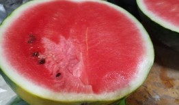 吃瓜消暑,吃瓜盛宴，尽享清凉时光