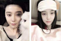 女明星吃瓜组,女明星吃瓜组背后的故事