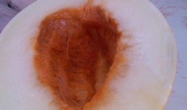 吃伊丽莎白瓜腰疼,却引发腰疼困扰揭秘