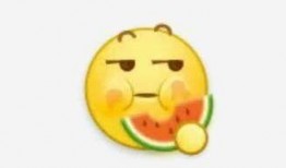 吃瓜用语意思,揭秘“吃瓜群众”背后的网络文化现象