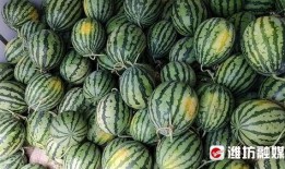 武汉汉中街吃瓜,夏日吃瓜盛地，街头巷尾的清凉时光