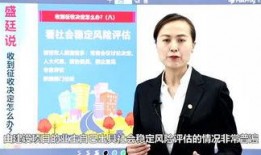 律师频道吃瓜,揭秘法律圈内的那些“吃瓜”故事