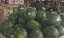 大俊吃瓜,揭秘娱乐圈幕后故事