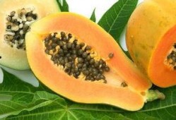 胃病可以吃生瓜,生瓜的食用探讨