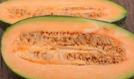 吃鸡排吃哈密瓜,一场味蕾的盛宴