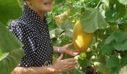 世纪城吃瓜视频,揭秘幕后真相，带你走进事件核心