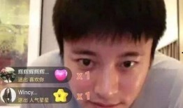 吃瓜事件李小璐,揭秘娱乐圈的隐私风暴