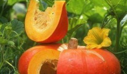 利用系统吃瓜,揭秘虚拟世界中的娱乐盛宴