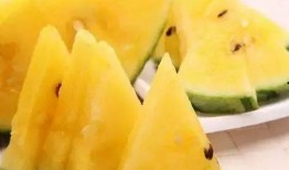 带你吃瓜有多重,揭秘娱乐圈那些不为人知的秘密