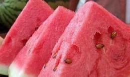 果立方吃瓜会,揭秘吃瓜背后的奇妙世界