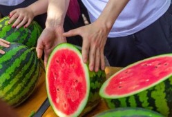 许昌大学吃瓜视频