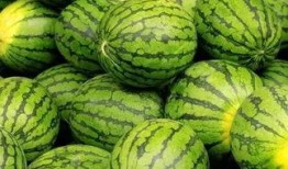 吃瓜神器每日大赛