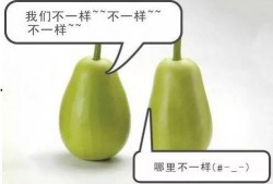 子安吃瓜,揭秘娱乐圈幕后故事