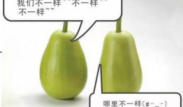 子安吃瓜,揭秘娱乐圈幕后故事