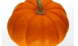 吃北方瓜,探寻北方特色美食之旅