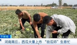 798集体吃瓜,揭秘艺术圈背后的故事