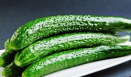 瓢瓜怎么吃效果最好,最佳食用方法，尽享健康美味