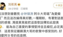 吃瓜尖歌曲,揭秘娱乐圈背后的秘密与真相