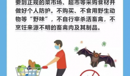 疫情期间吃瓜的文章,揭秘网络舆论背后的真相