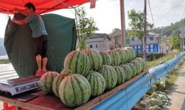 滨州博兴吃瓜事件,一场网络热议背后的真相探寻