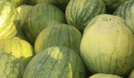 以前吃瓜和最近吃瓜一样吗,从古至今，吃瓜热情依旧