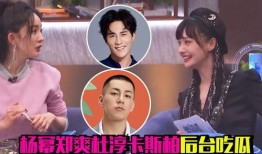 郑爽吃瓜文件,娱乐圈背后的真相与争议