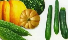 用什么吃瓜,探索各式“吃瓜”利器