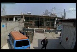 吃瓜定州西杨村,吃瓜群众的欢乐田园生活