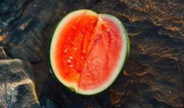 摩登吃瓜,吃瓜群众的时尚盛宴