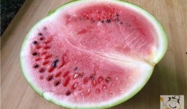 吃西沙瓜图片大全,图片大全带你领略夏日清凉美味