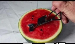 夏天必吃瓜神器,揭秘夏天必吃瓜神器！