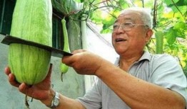 山东潍坊吃瓜被砍