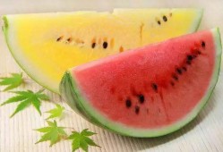 高级吃瓜老头,揭秘高级吃瓜老头的智慧生活