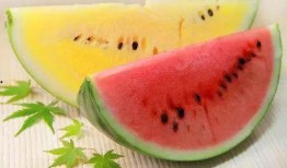 高级吃瓜老头,揭秘高级吃瓜老头的智慧生活