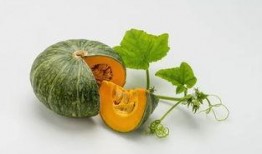 眼镜老师吃瓜,揭秘校园八卦背后的真相