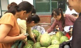 班里吃瓜群众,揭秘班级“吃瓜群众”背后的故事