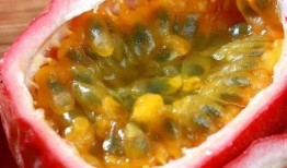 冬吃萝卜夏吃瓜的依据