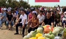 塞纳河吃瓜群众,揭秘巴黎街头的热闹生活