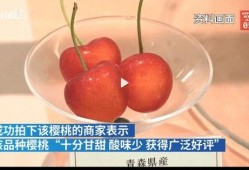 蜜瓜去皮吃吗,口感与营养的双重享受